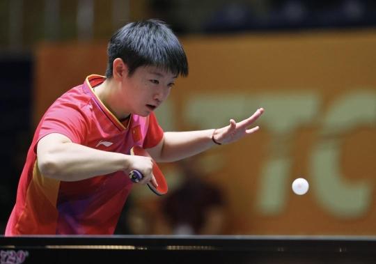 和金子豪的 和金子豪的