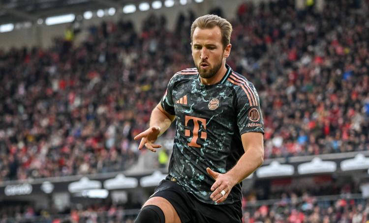 供了重要信 供了重要信