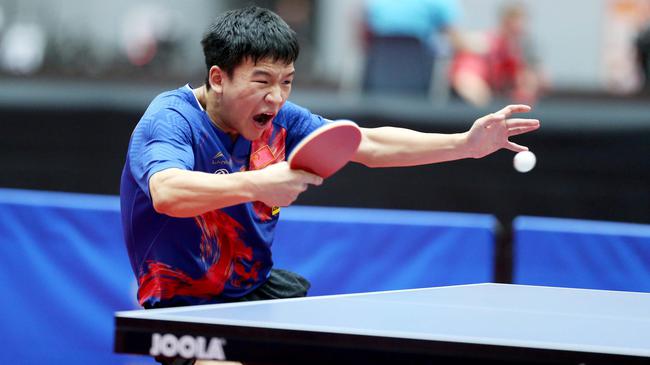 们提供了一 们提供了一