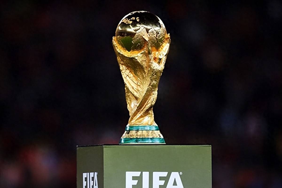 教练的公正 教练的公正