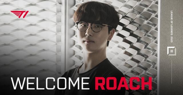 标赛的观众 标赛的观众