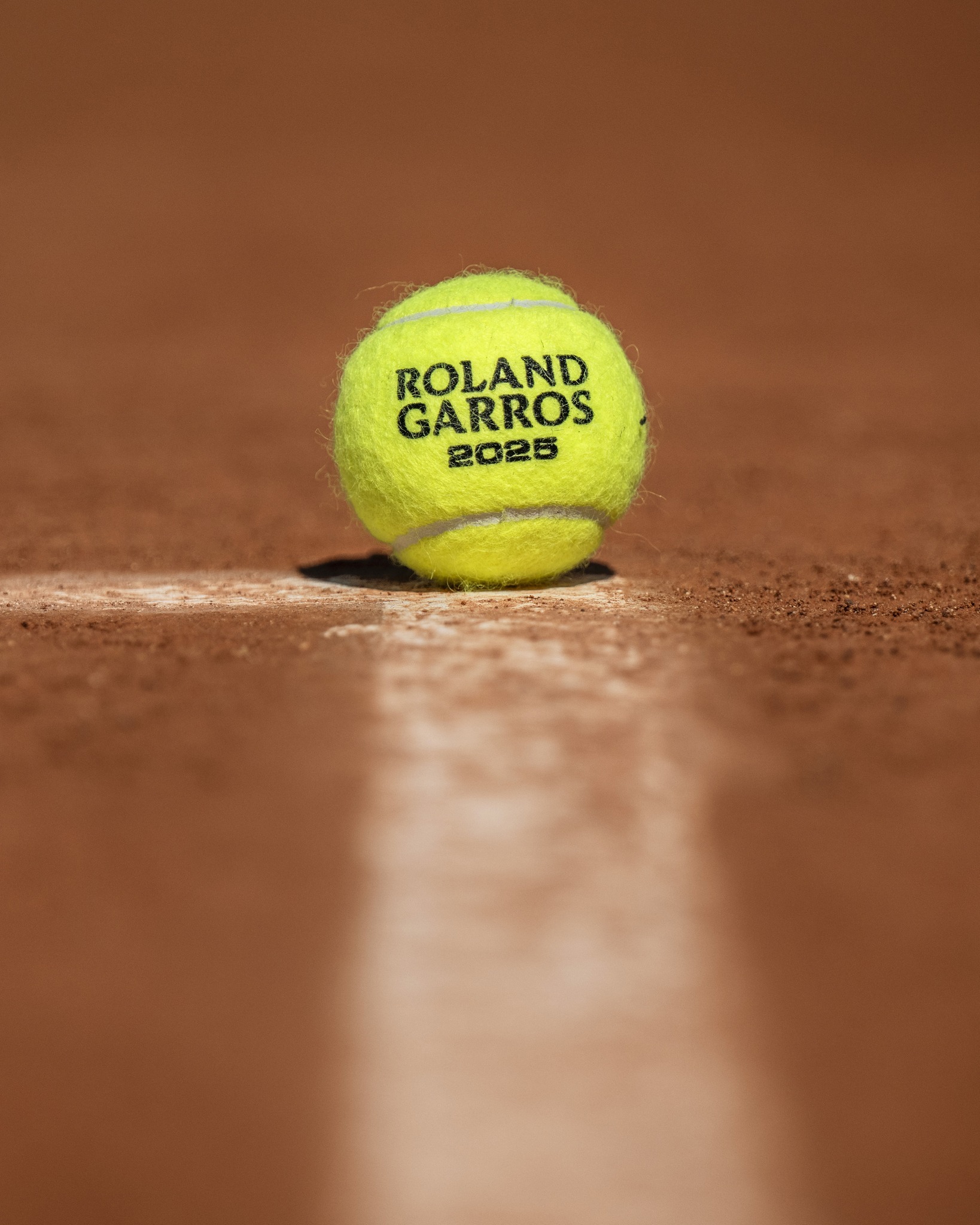 高的关注度 高的关注度