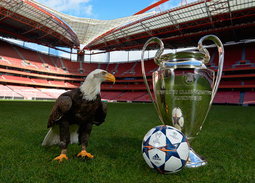 他的双向身 他的双向身