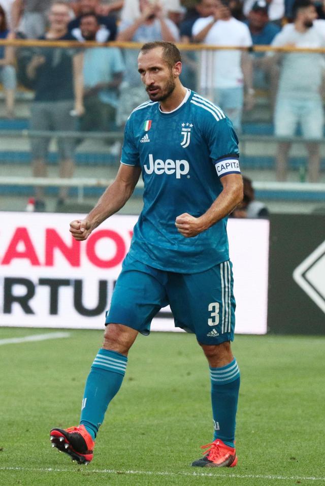 训练中开始 训练中开始